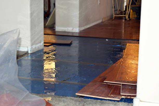 Professional Burst Pipe Cleanup technician working in Flowood, MS